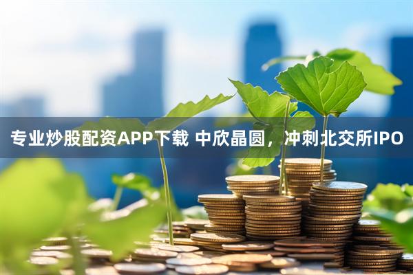 专业炒股配资APP下载 中欣晶圆，冲刺北交所IPO