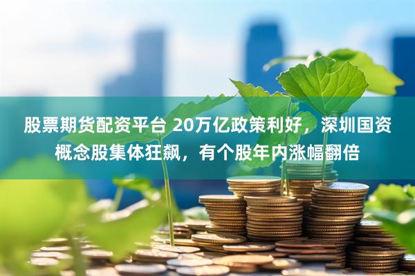 股票期货配资平台 20万亿政策利好，深圳国资概念股集体狂飙，有个股年内涨幅翻倍